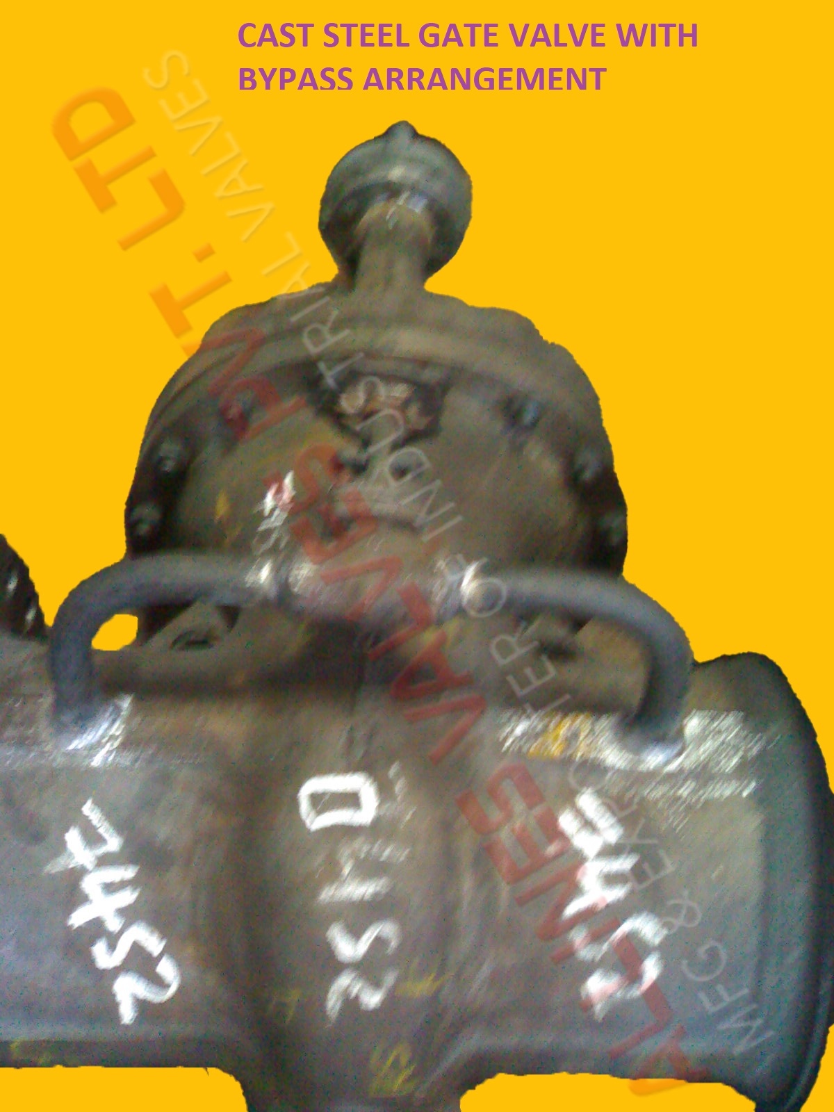 PTFE LINED Y-GLOBE VALVE